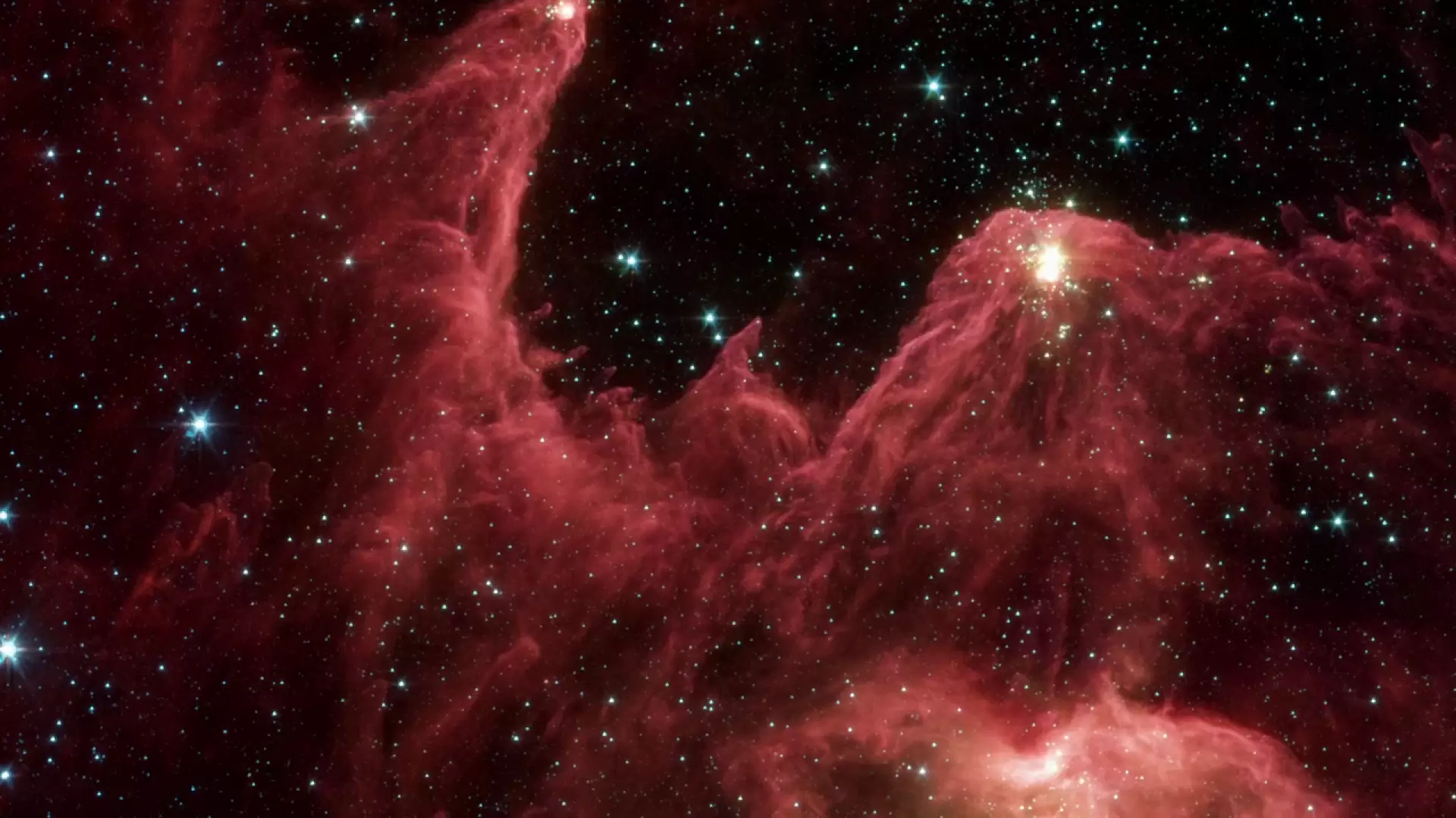 دانلود مستند Stargaze HD: Universal Beauty 2008