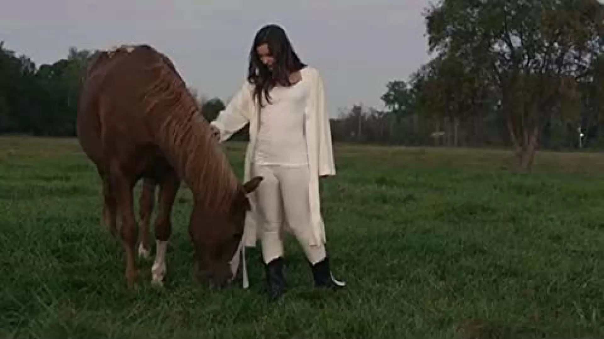 دانلود فیلم Horse Camp 2017