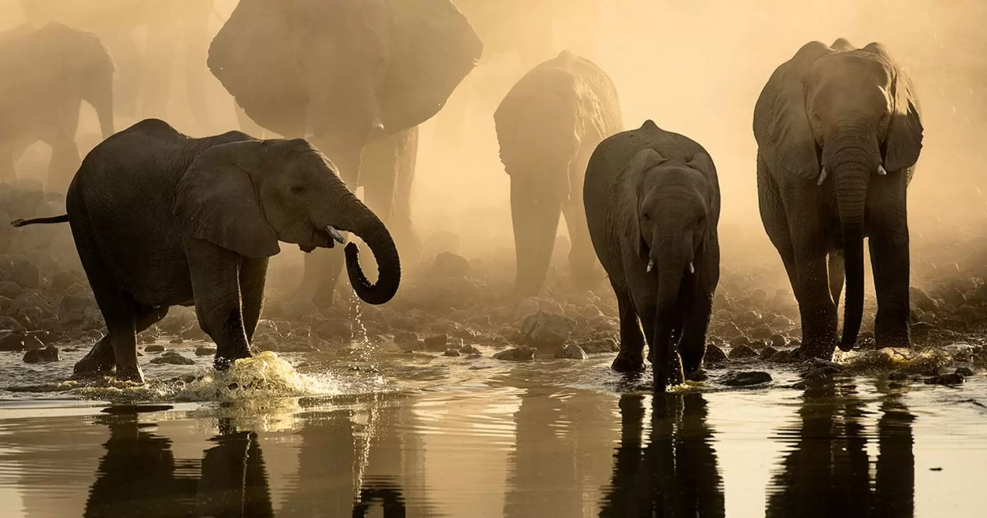 دانلود مستند Waterhole: Africa’s Animal Oasis 2020
