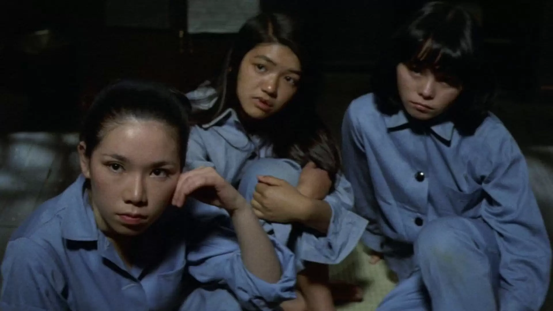 دانلود فیلم خصوصی: True Story of a Woman in Jail: Continues 1975