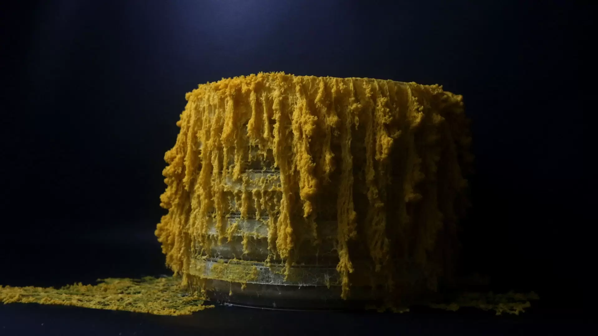 دانلود مستند The Blob: A Genius Without a Brain 2019