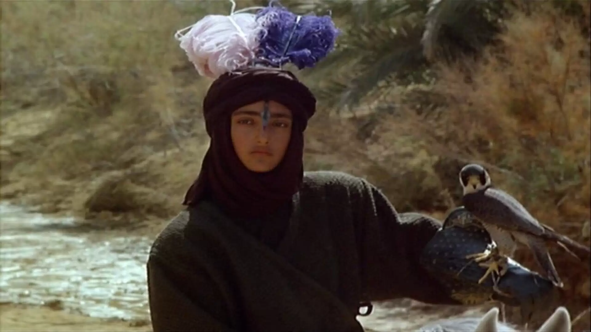 دانلود فیلم The Dove’s Lost Necklace 1991