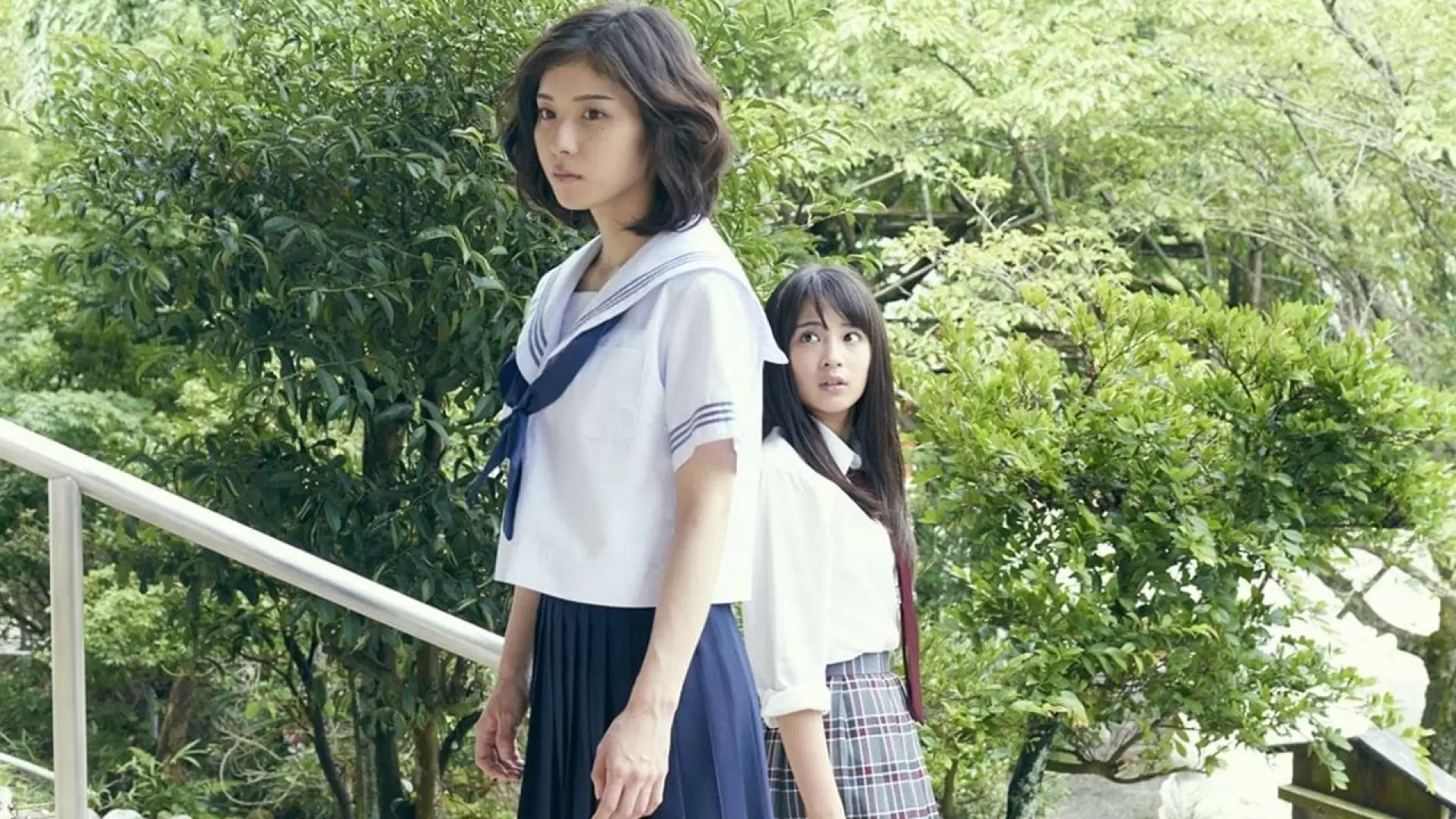 دانلود فیلم Chihayafuru Part II 2016