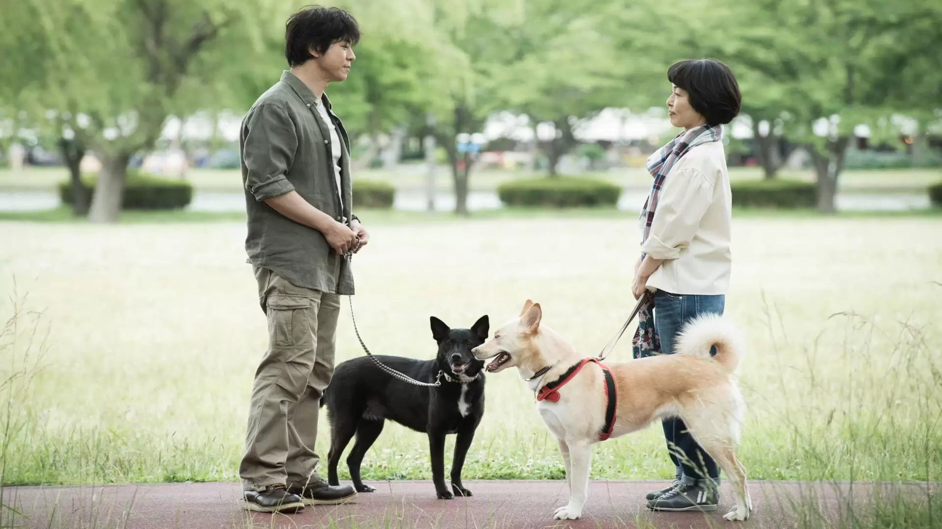 دانلود فیلم Dogs Without Names 2015