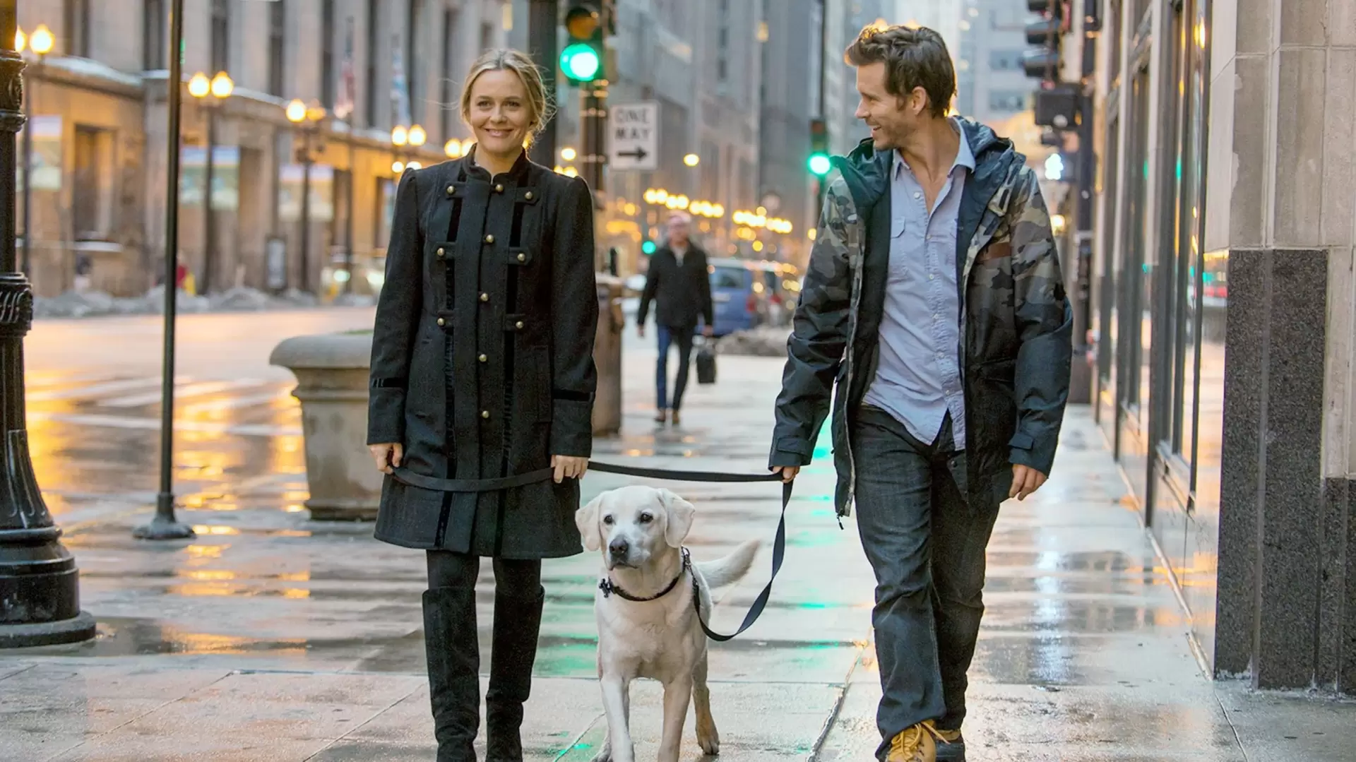 دانلود فیلم Who Gets the Dog? 2016