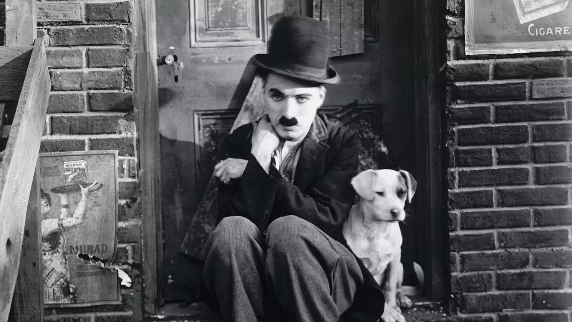 دانلود فیلم A Dog’s Life 1918 با زیرنویس فارسی