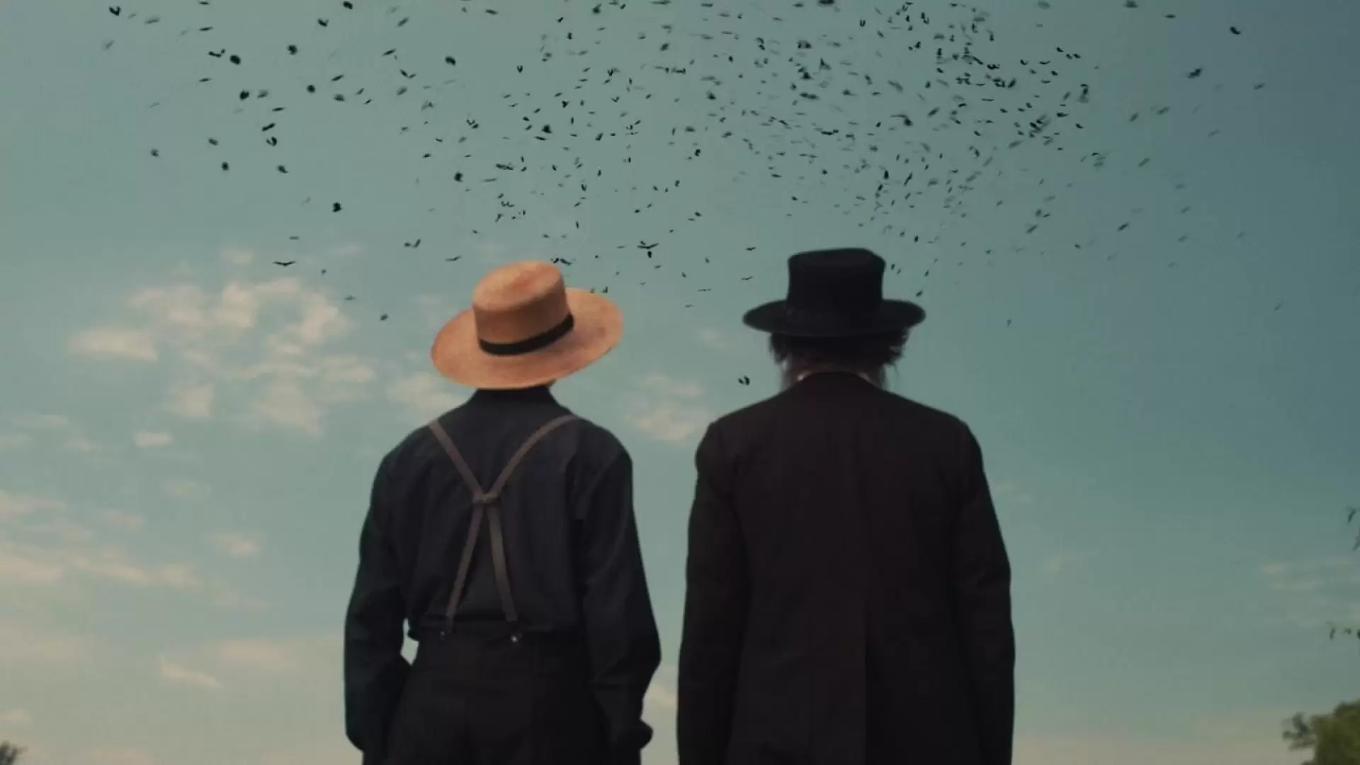 دانلود فیلم The Harvesting 2018