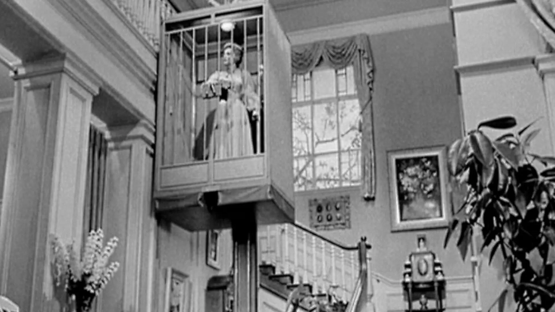 دانلود فیلم Lady in a Cage 1964