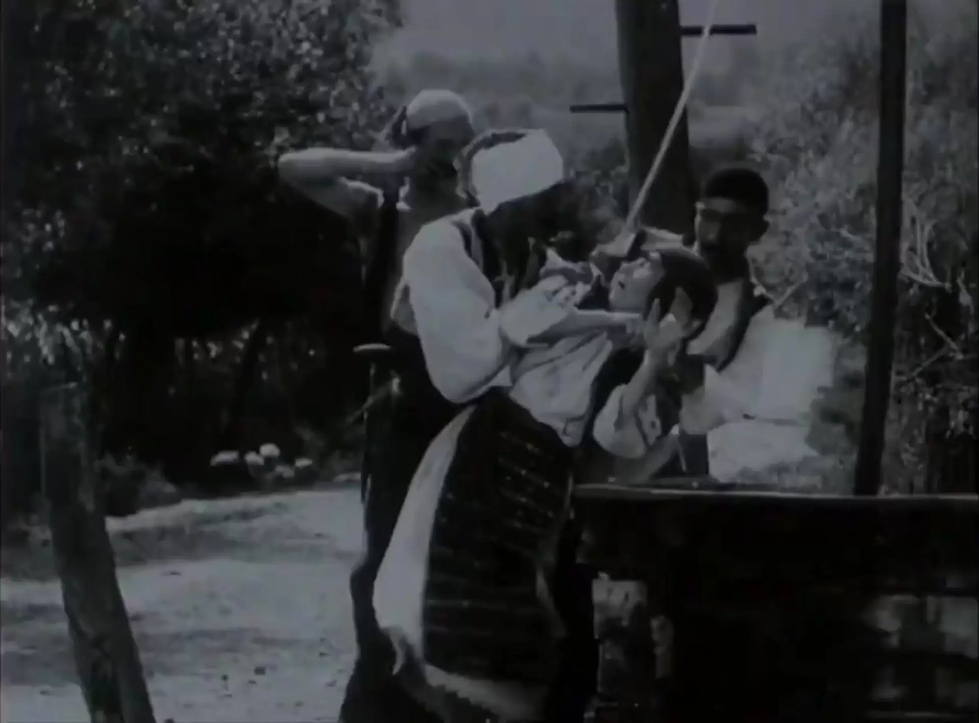 دانلود فیلم Haiducii 1929