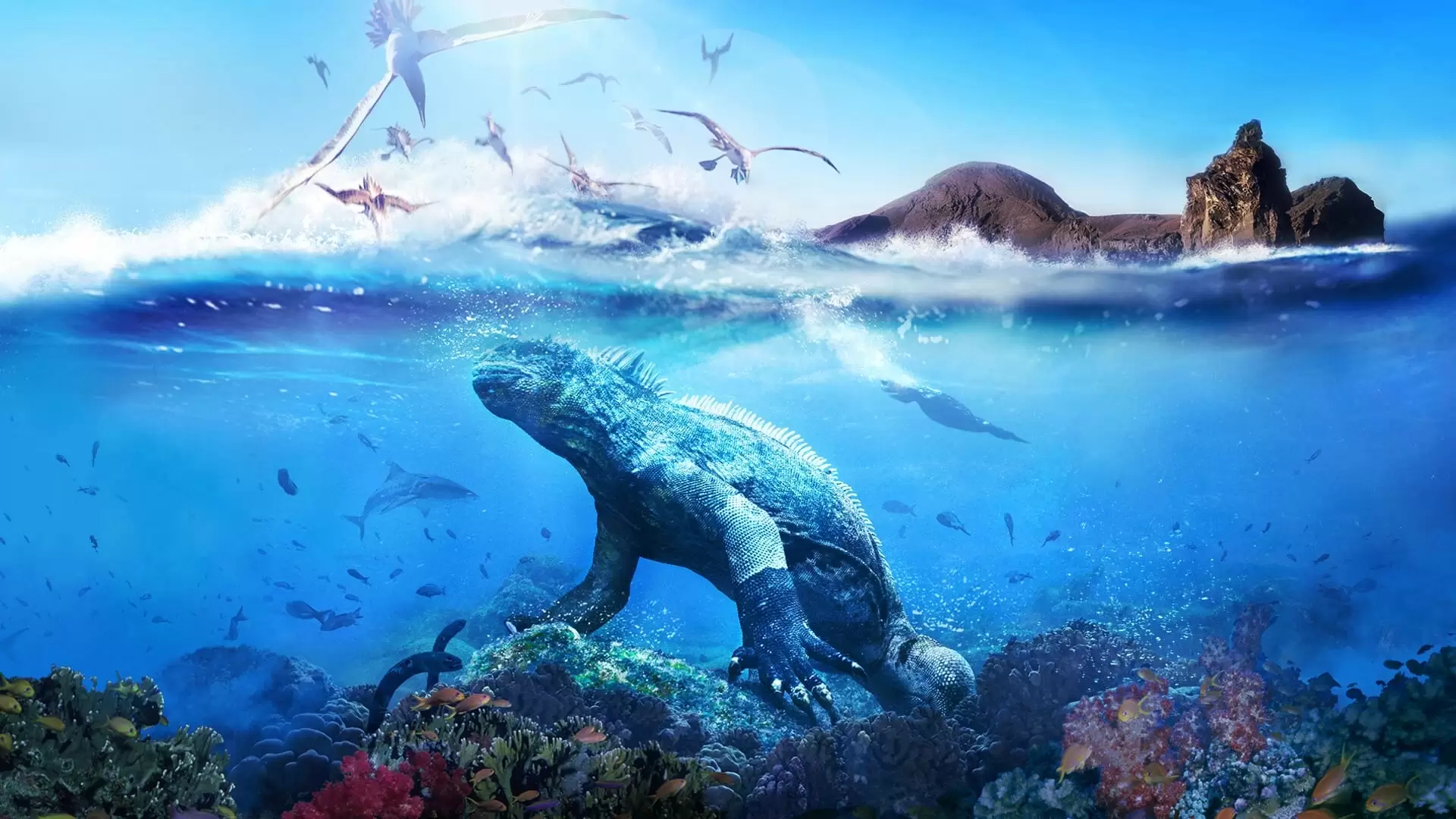 دانلود مستند Galapagos 2006