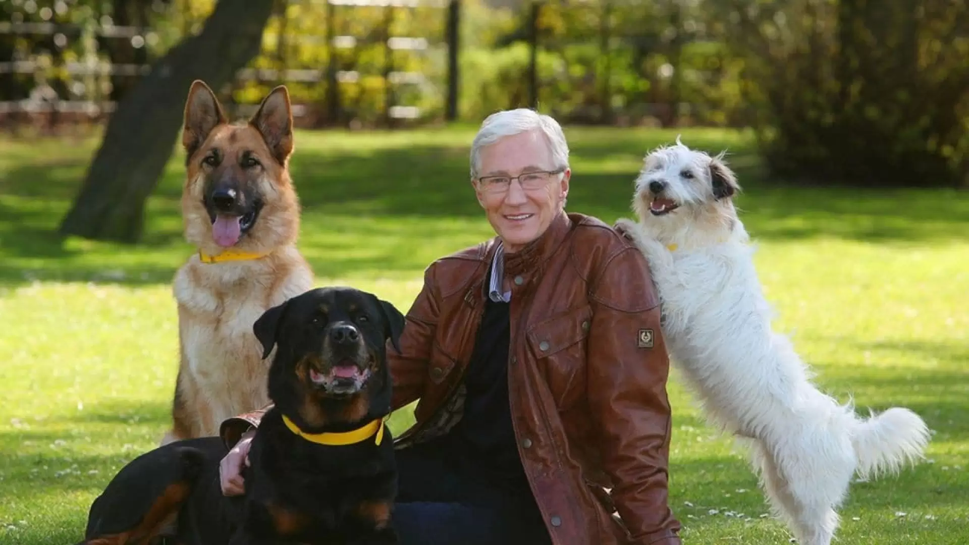 دانلود سریال Paul O’Grady: For the Love of Dogs 2012