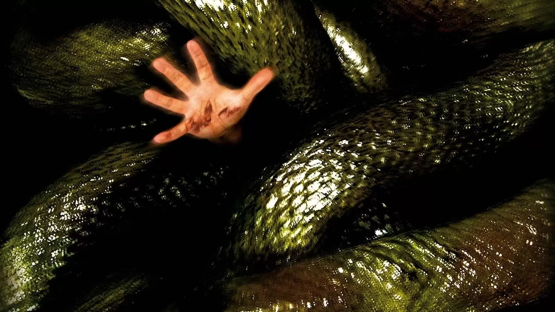 دانلود فیلم Anacondas: The Hunt for the Blood Orchid 2004 (آناکونداها: شکار ارکیده خونین) با زیرنویس فارسی
