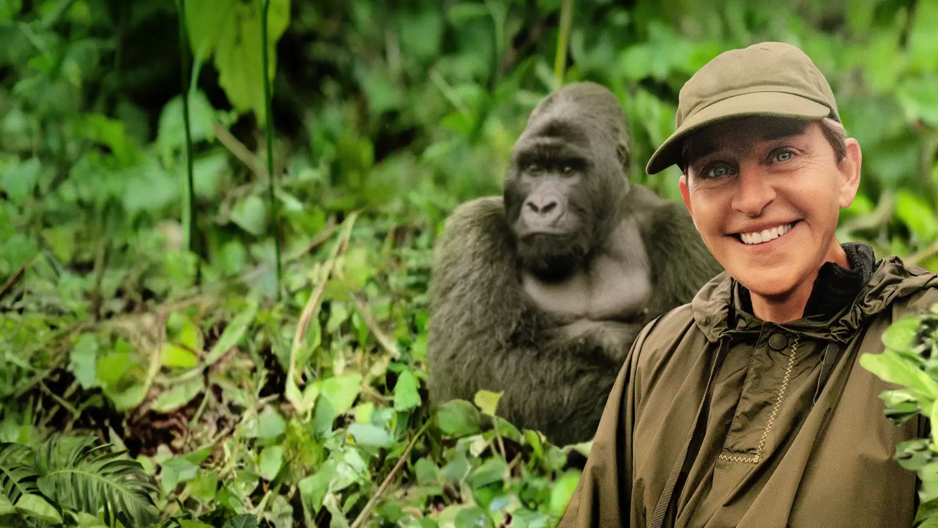 دانلود مستند Saving the Gorillas: Ellen’s Next Adventure 2023