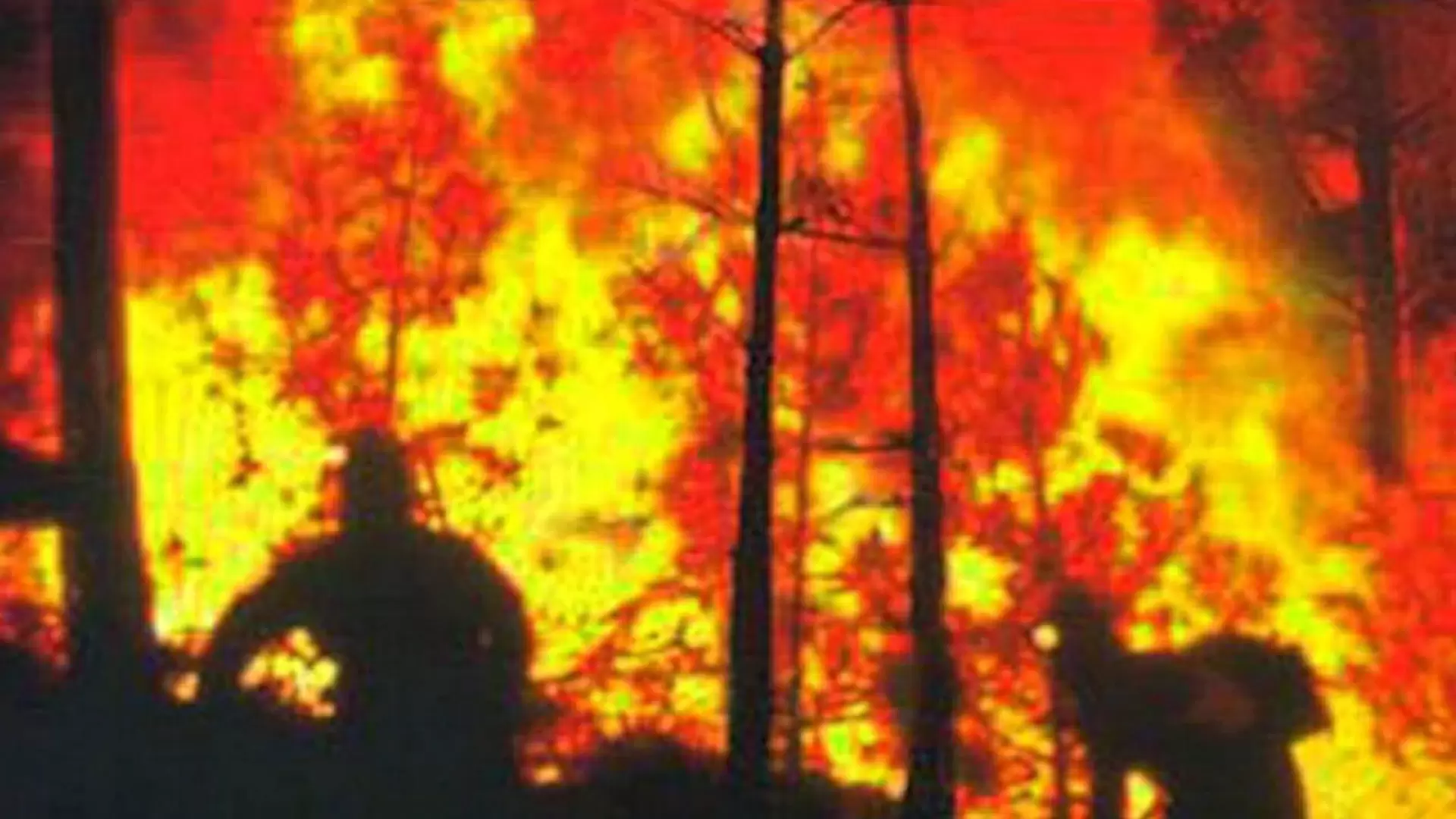 دانلود فیلم Smoke Jumpers 1996