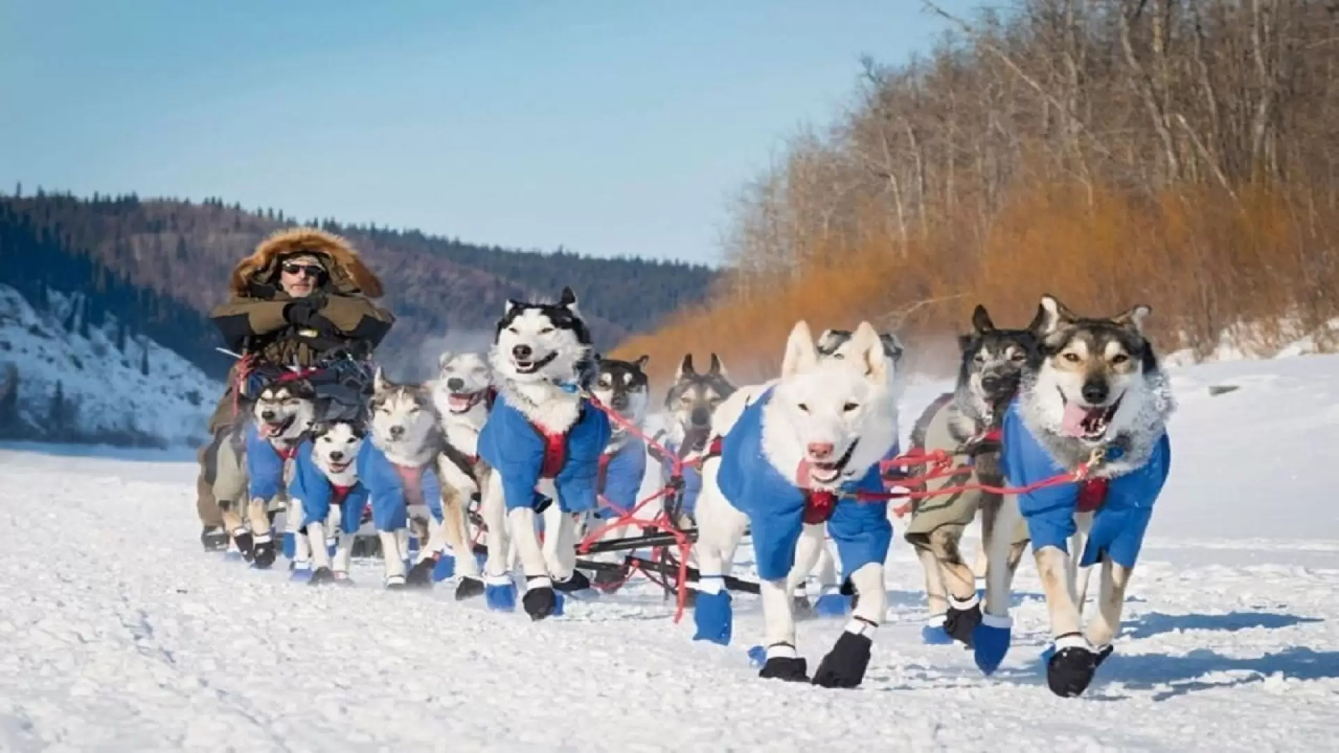 دانلود مستند Siberian Odyssey 2006