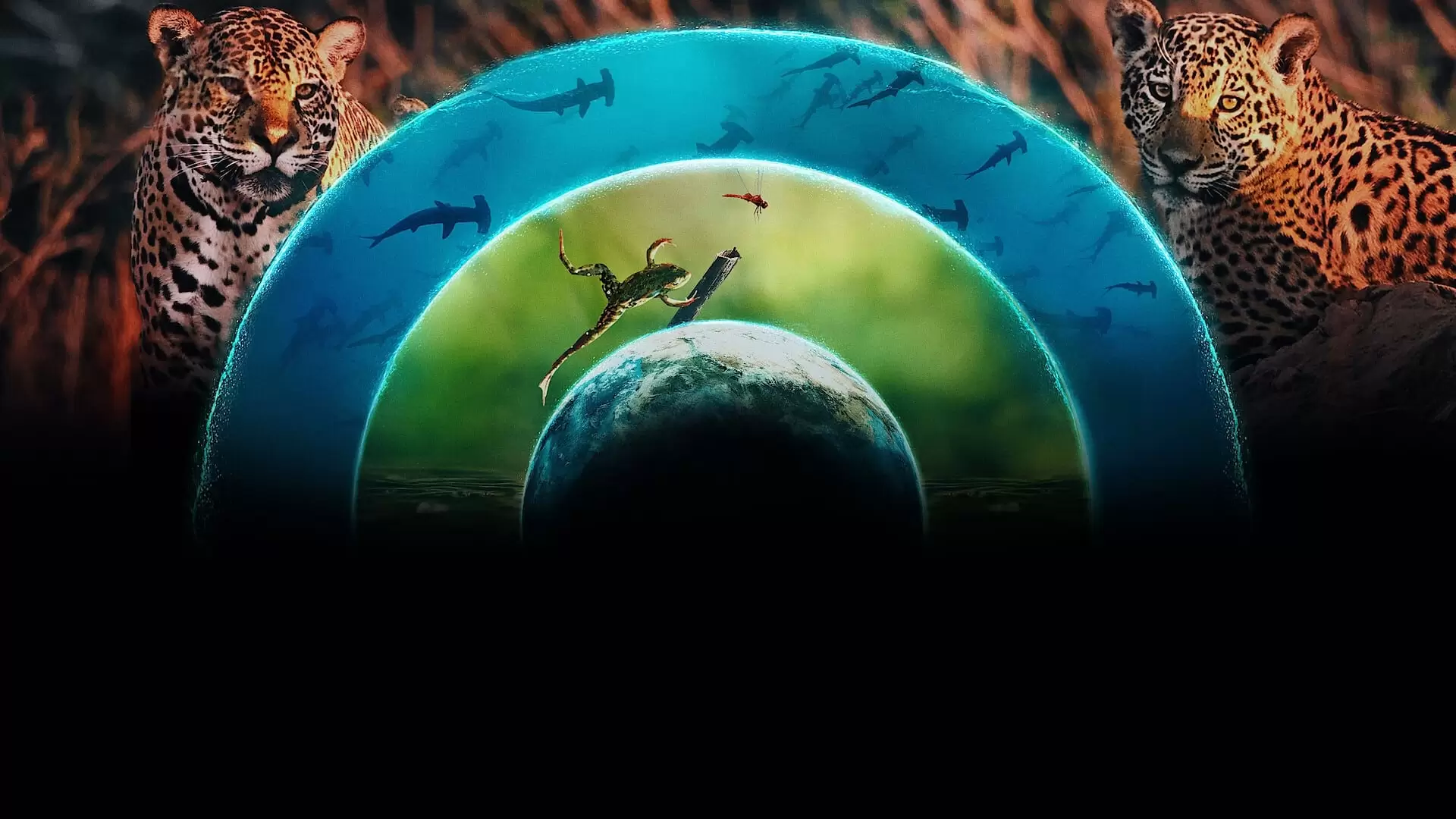 دانلود مستند Our Living World 2024 (دنیای زنده ما) با تماشای آنلاین