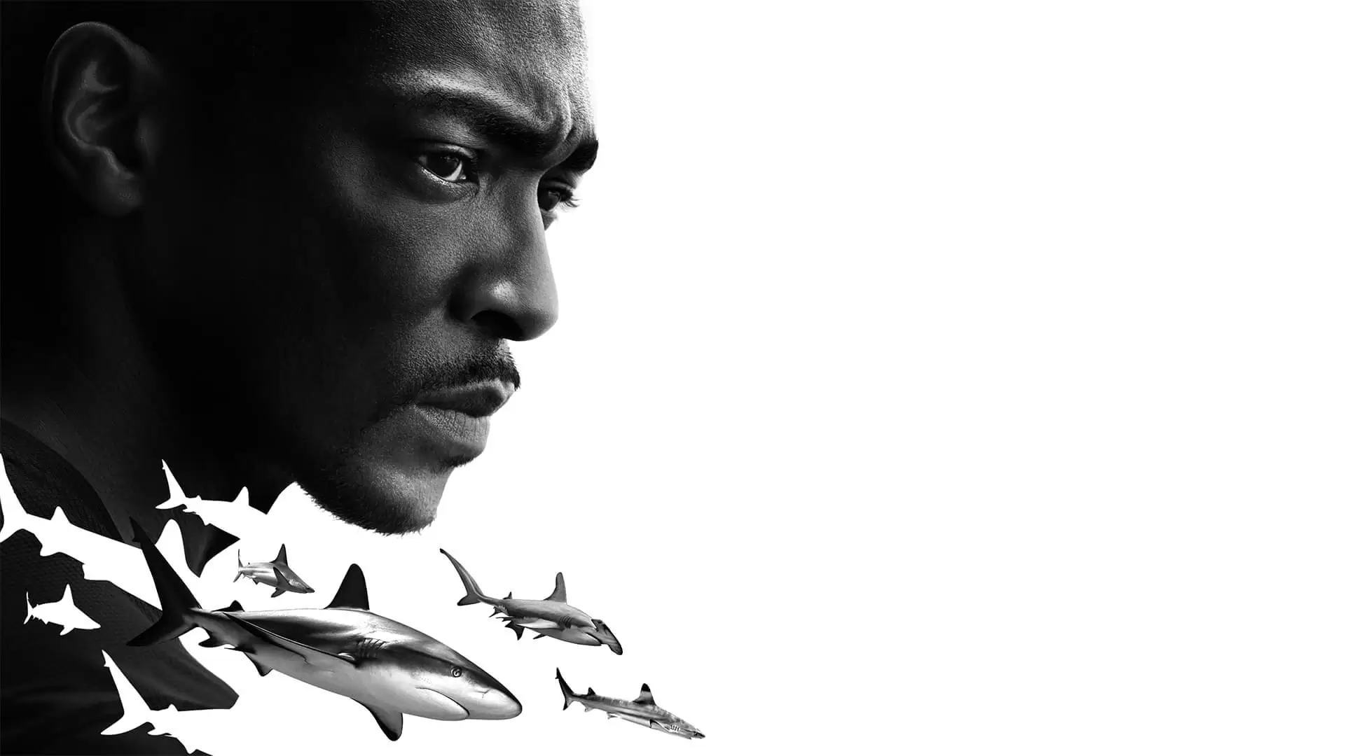 دانلود مستند Shark Beach with Anthony Mackie 2024