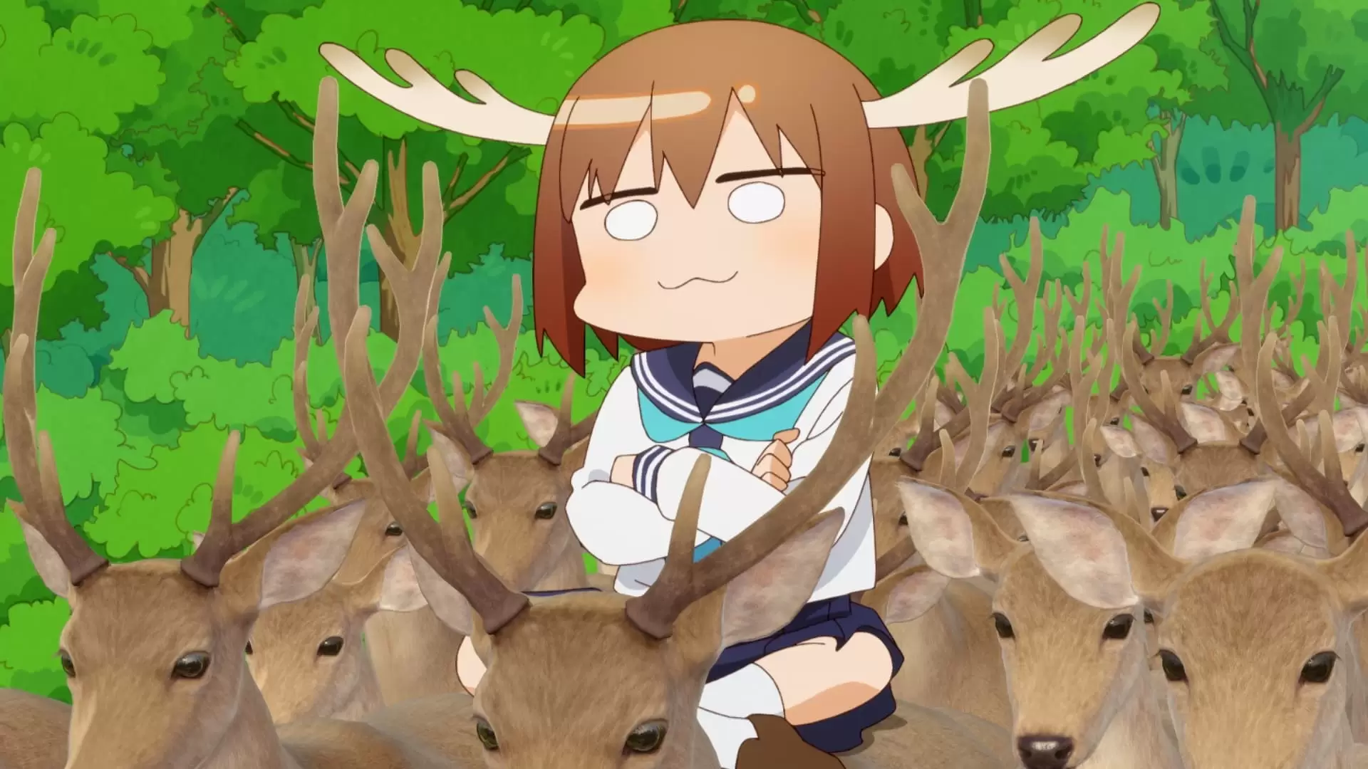 دانلود انیمه Shikanoko Nokonoko Koshitantan (My Deer Friend Nokotan) 2024