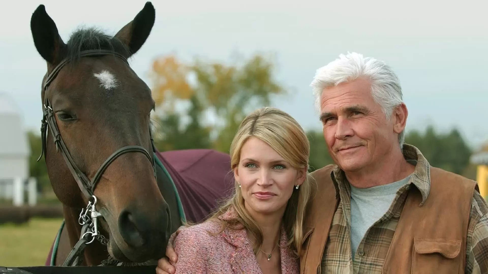 دانلود فیلم Widow on the Hill 2005