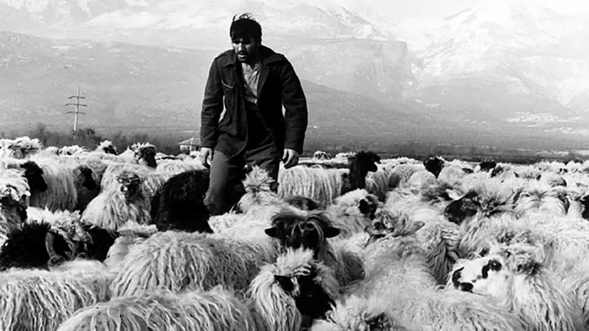 دانلود فیلم Three 1965 با زیرنویس فارسی