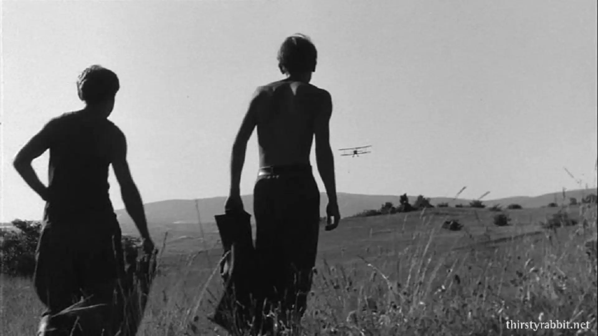 دانلود فیلم My Way Home 1965 با زیرنویس فارسی