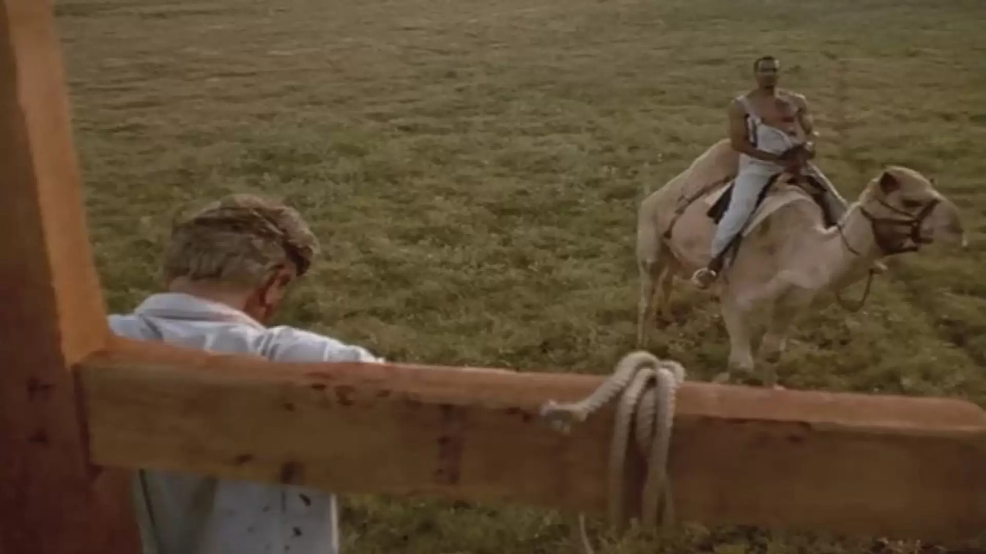 دانلود فیلم Texas Story 1999