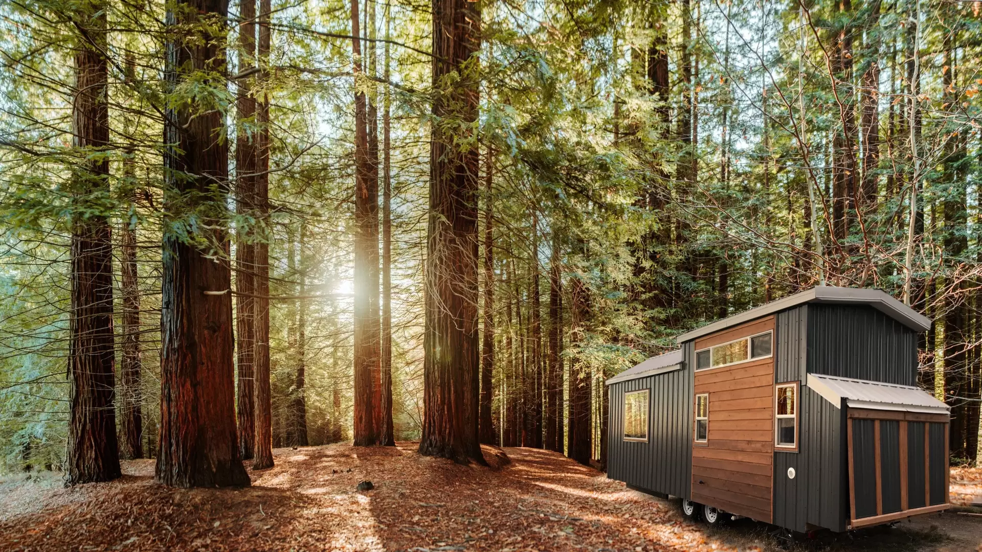 دانلود سریال Tiny House, Big Living 2014