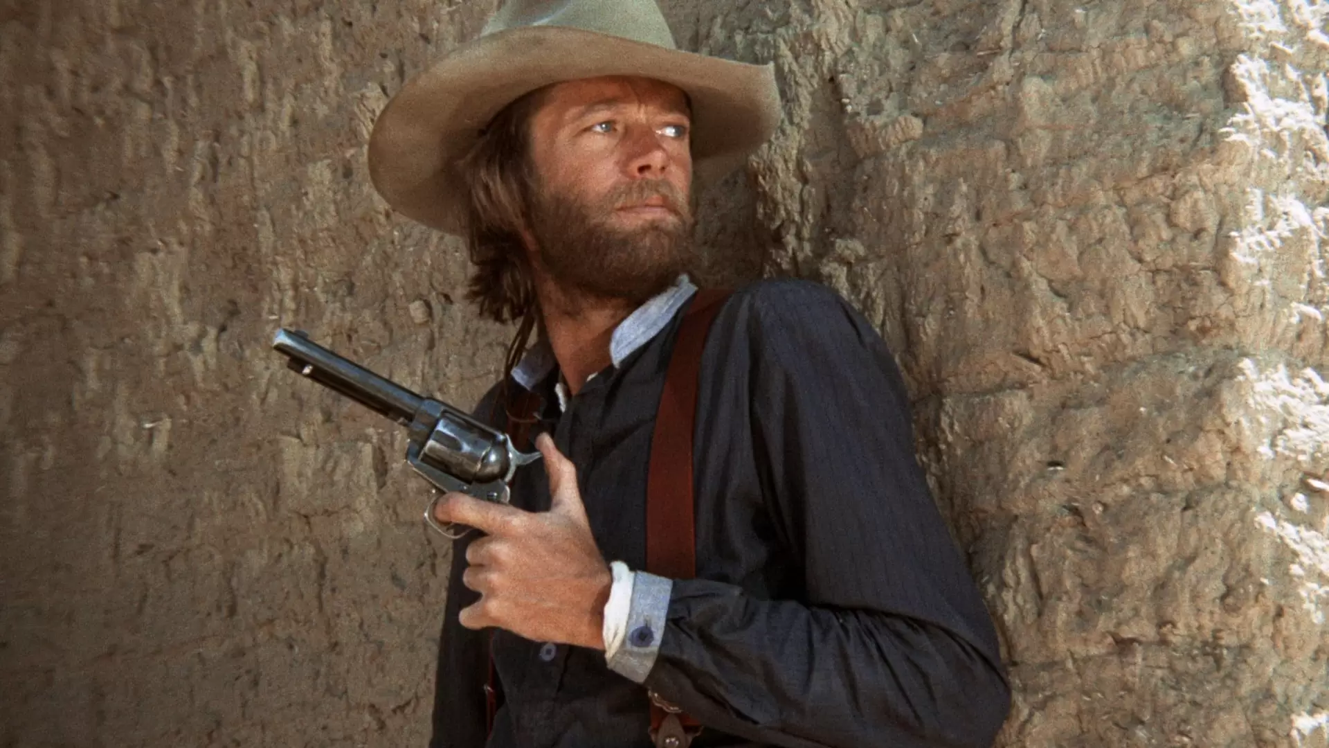 دانلود فیلم The Hired Hand 1971 با زیرنویس فارسی