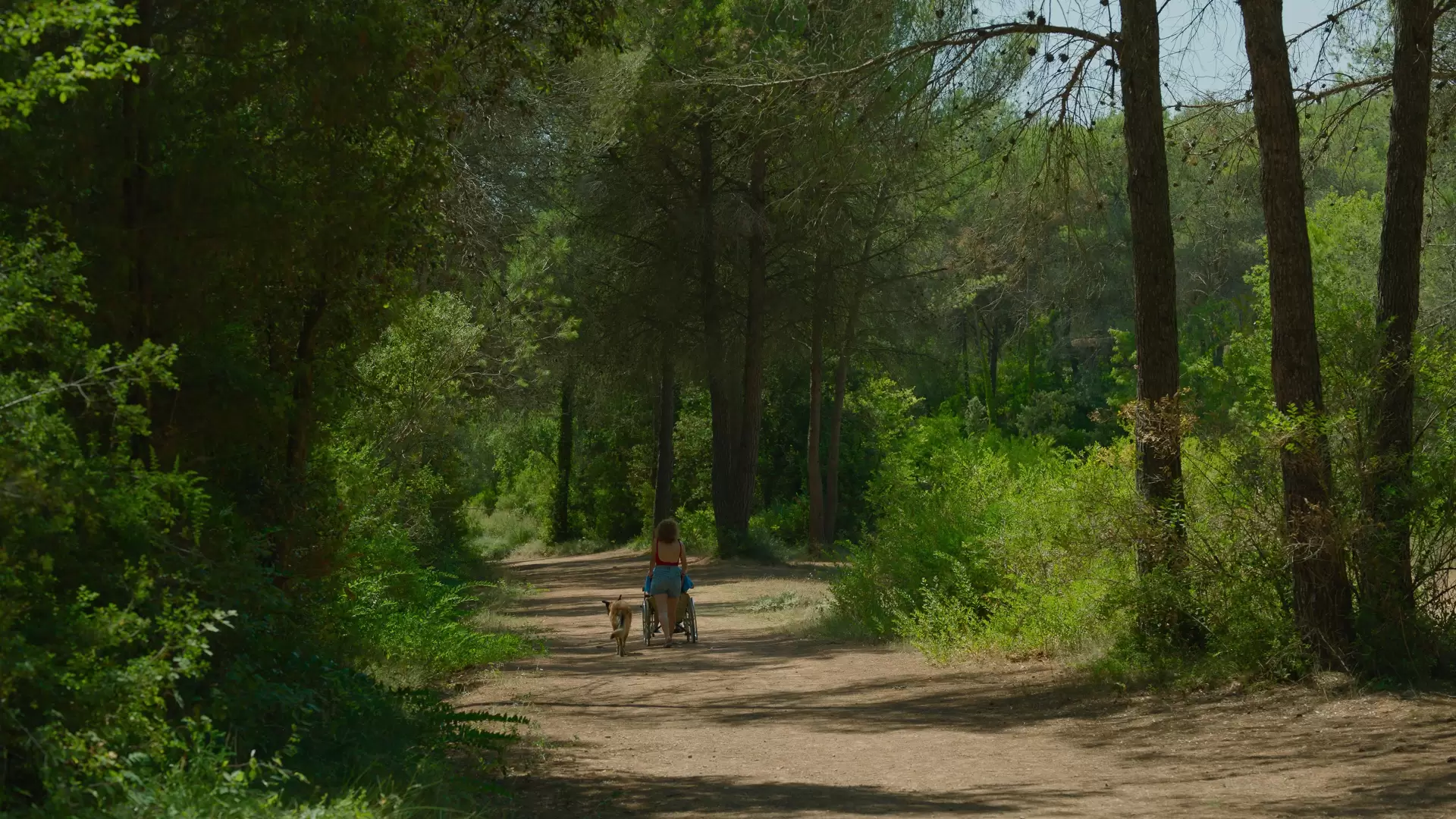دانلود فیلم Little Loves 2024