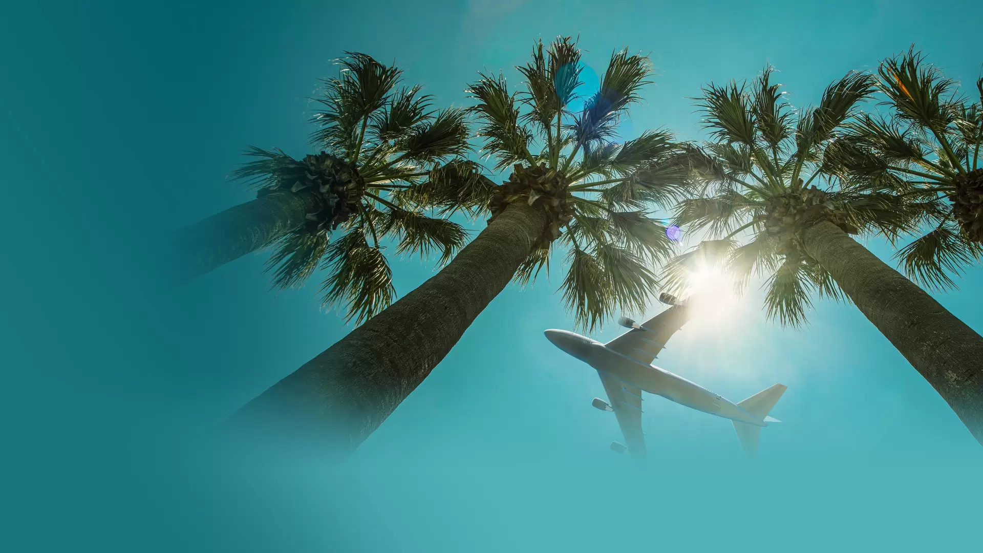 دانلود سریال Airport 24/7: Miami 2012