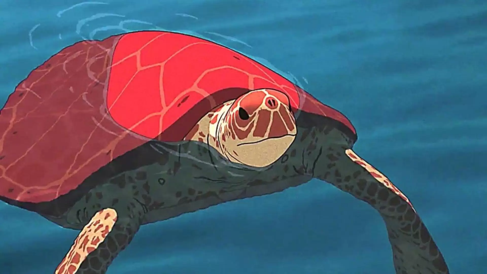 دانلود انیمیشن The Red Turtle 2016 (لاکپشت قرمز) با تماشای آنلاین