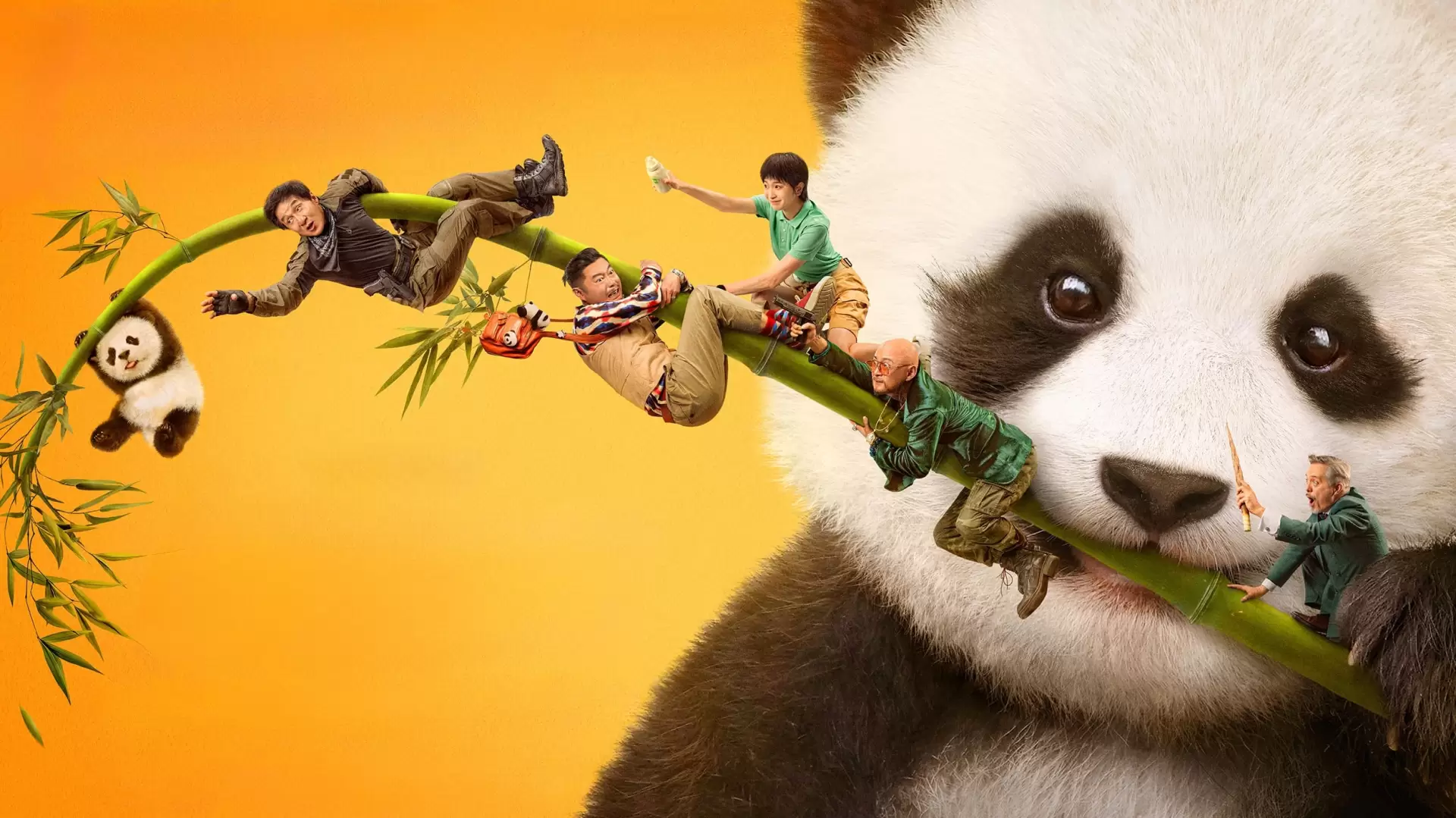 دانلود فیلم Panda Plan 2024 با زیرنویس فارسی و تماشای آنلاین