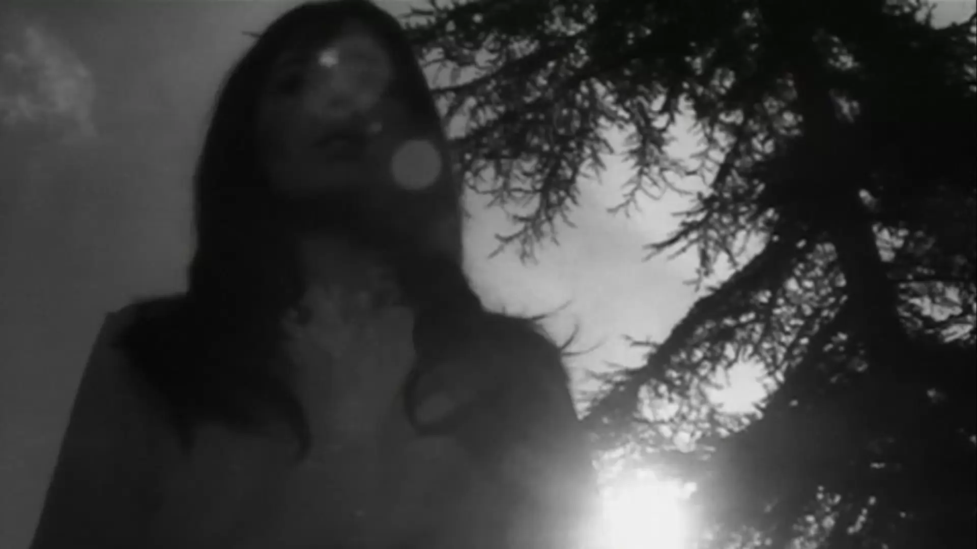 دانلود فیلم Destroy, She Said 1969