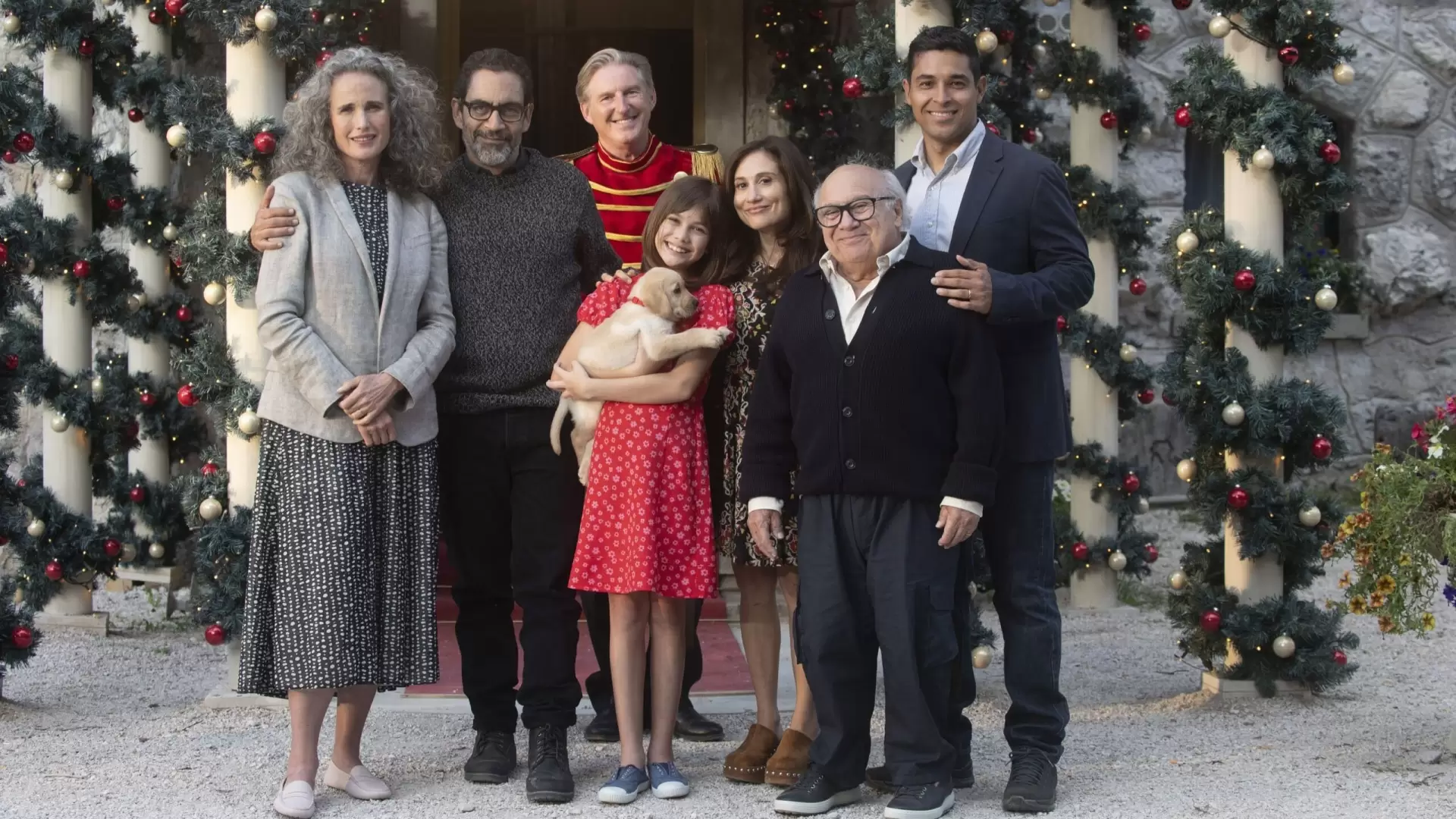 دانلود فیلم A Sudden Case of Christmas 2024