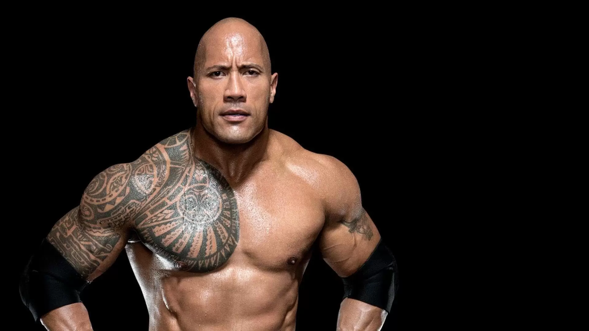 دانلود فیلم The Epic Journey of Dwayne ‘The Rock’ Johnson 2012
