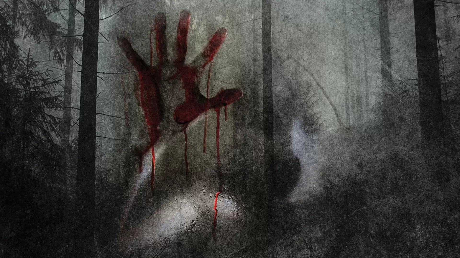 دانلود فیلم Coldwood 2012