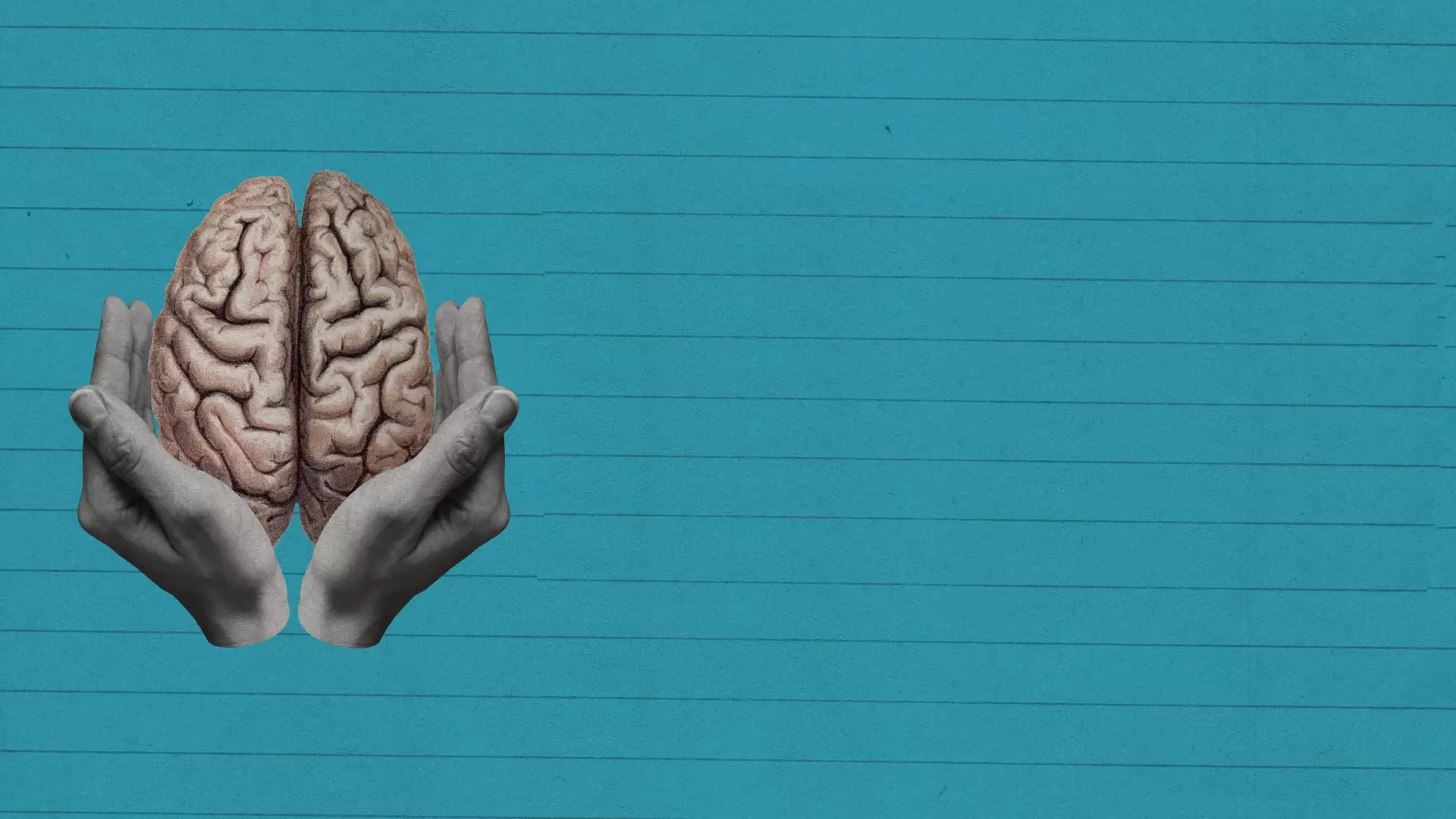 دانلود مستند The Coddling of the American Mind 2023