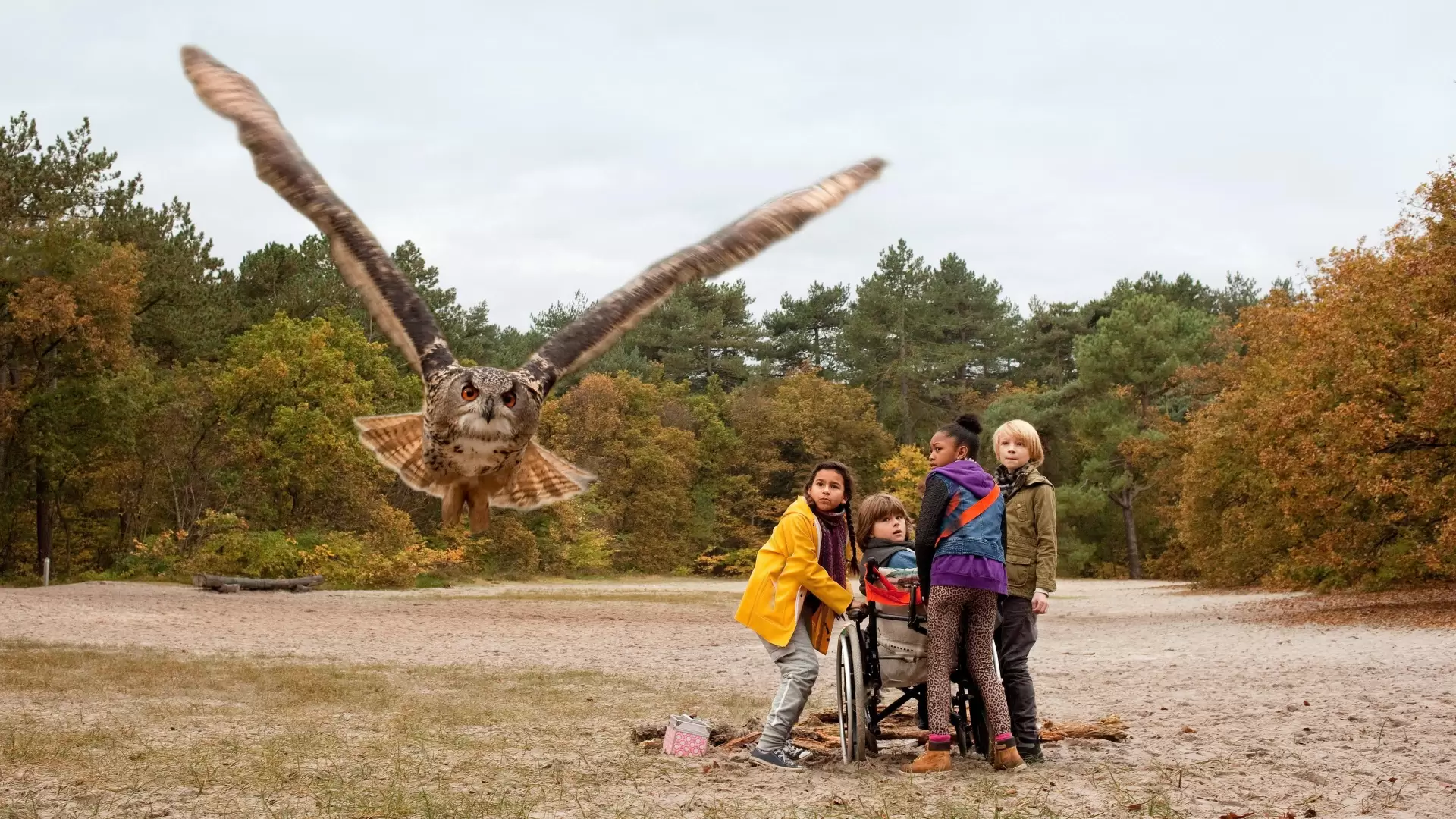 دانلود فیلم Owls & Mice 2016