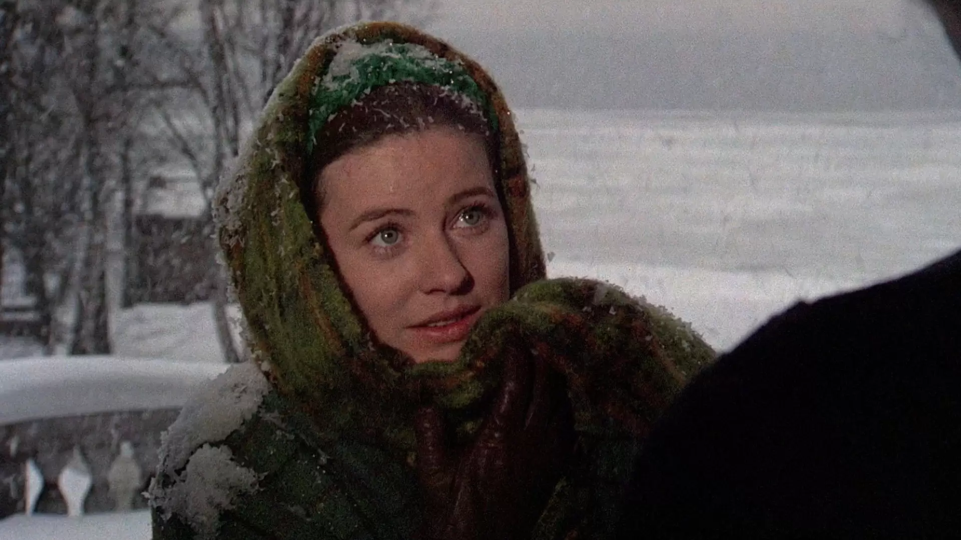 دانلود فیلم You’ll Like My Mother 1972