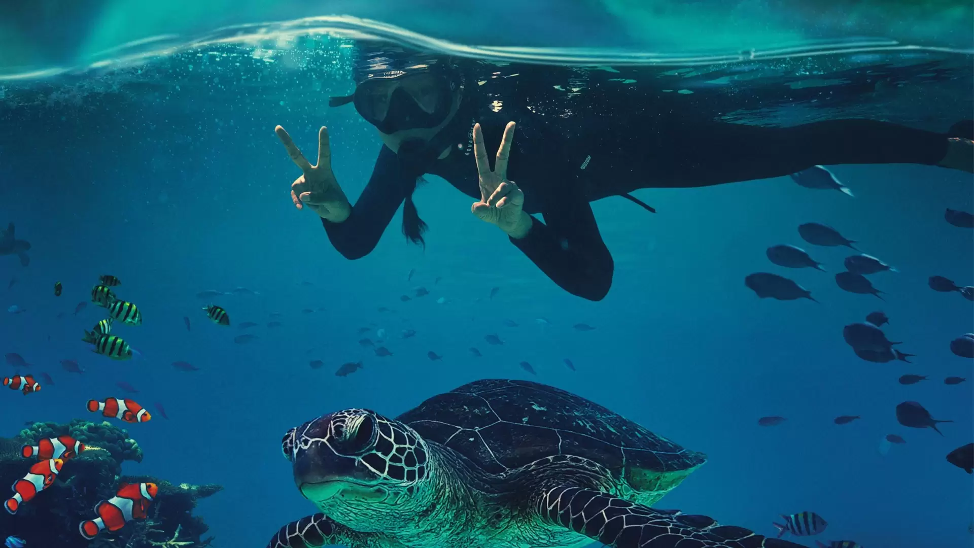 دانلود مستند Beyond the Reef 2022