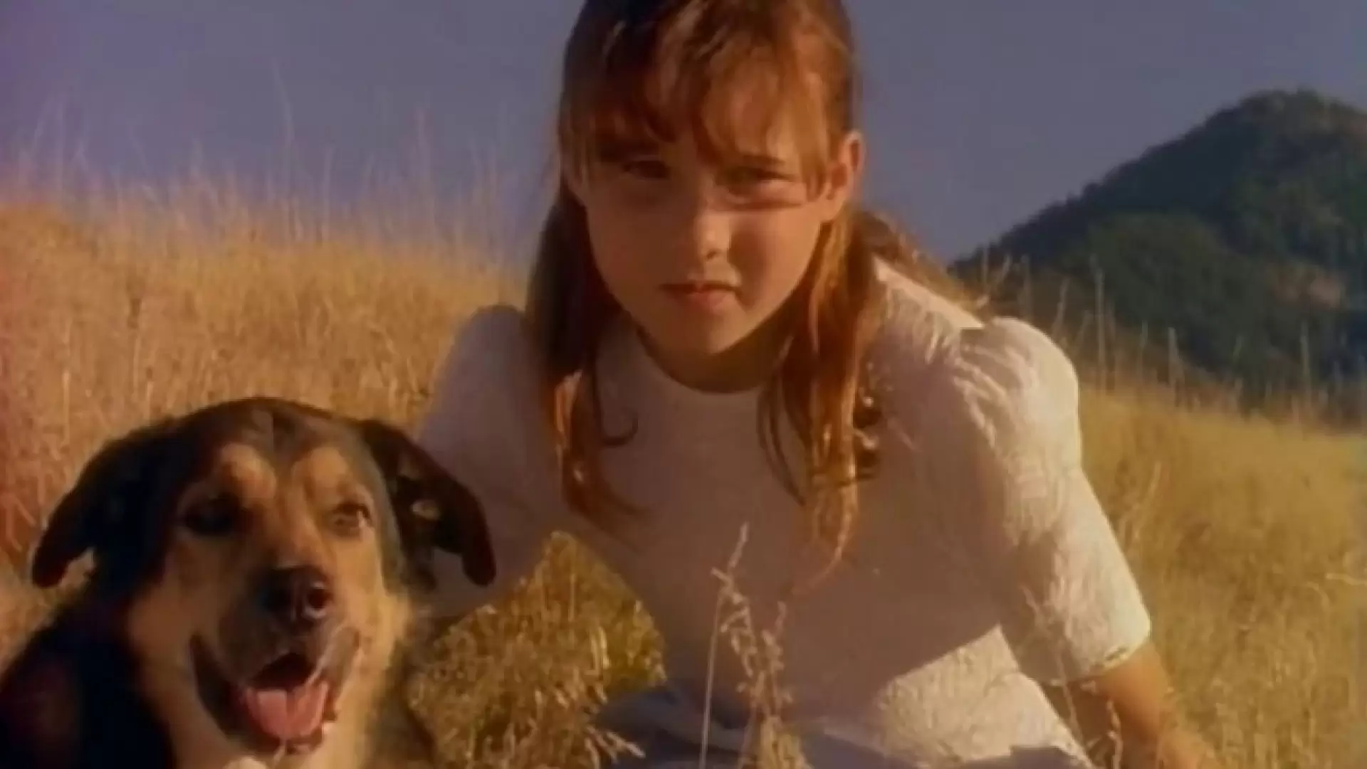دانلود فیلم Little Heroes 1991