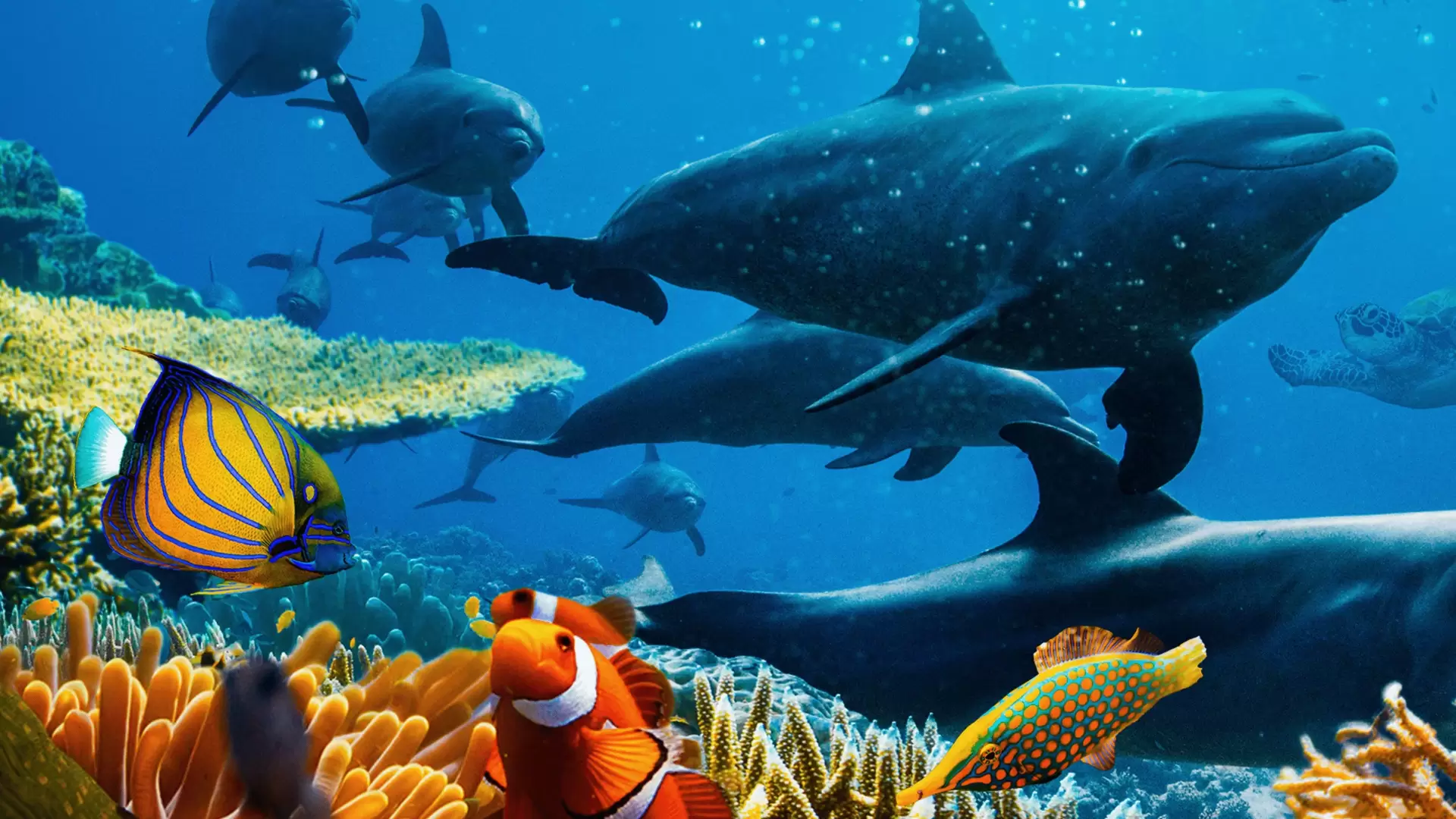 دانلود مستند Ocean with David Attenborough 2025 با زیرنویس فارسی و تماشای آنلاین