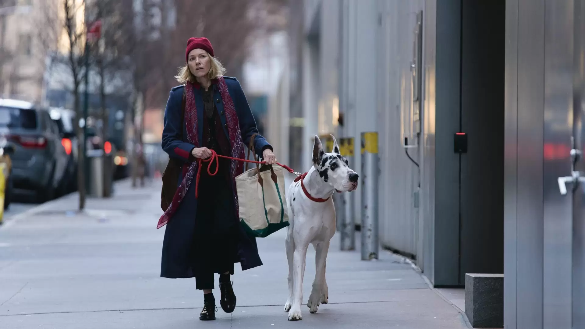 دانلود فیلم The Friend 2024 با تماشای آنلاین