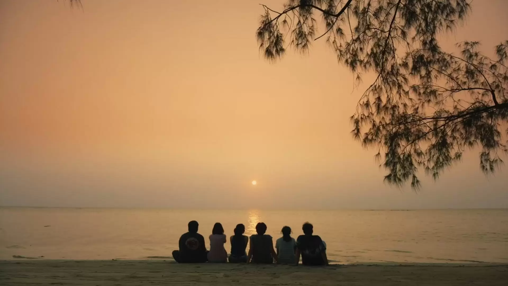 دانلود فیلم A Brother and 7 Siblings 2024