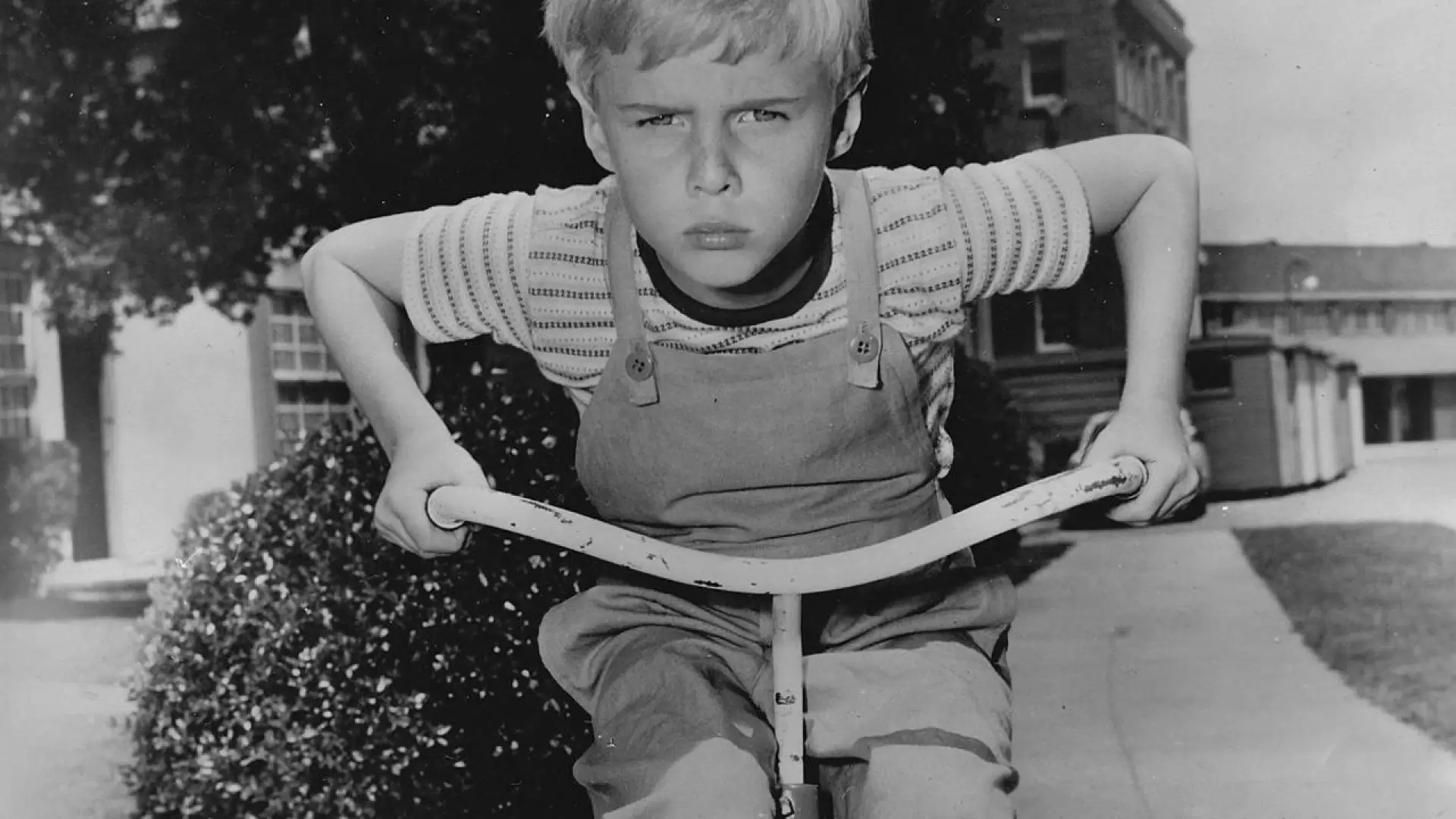 دانلود سریال Dennis the Menace 1959