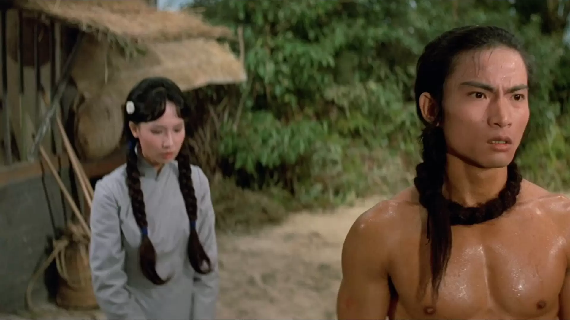 دانلود فیلم Shaolin Martial Arts 1974