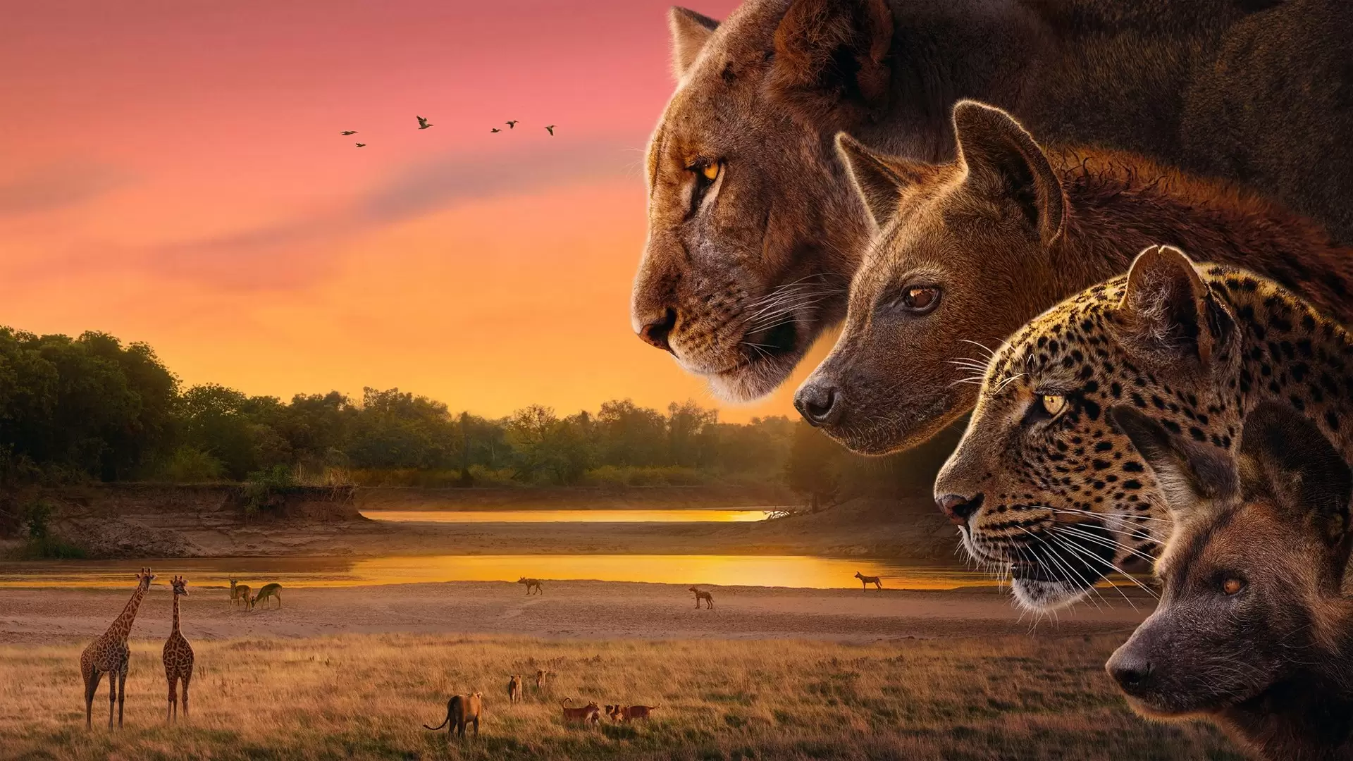 دانلود مستند Kingdom 2025 با زیرنویس فارسی و تماشای آنلاین