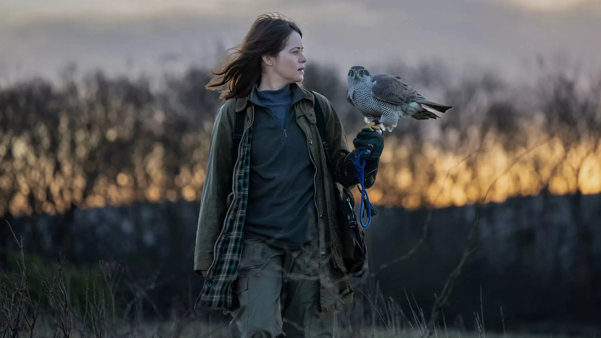 دانلود فیلم H Is for Hawk 2025 (اچ مثل هاوک) با زیرنویس فارسی و تماشای آنلاین