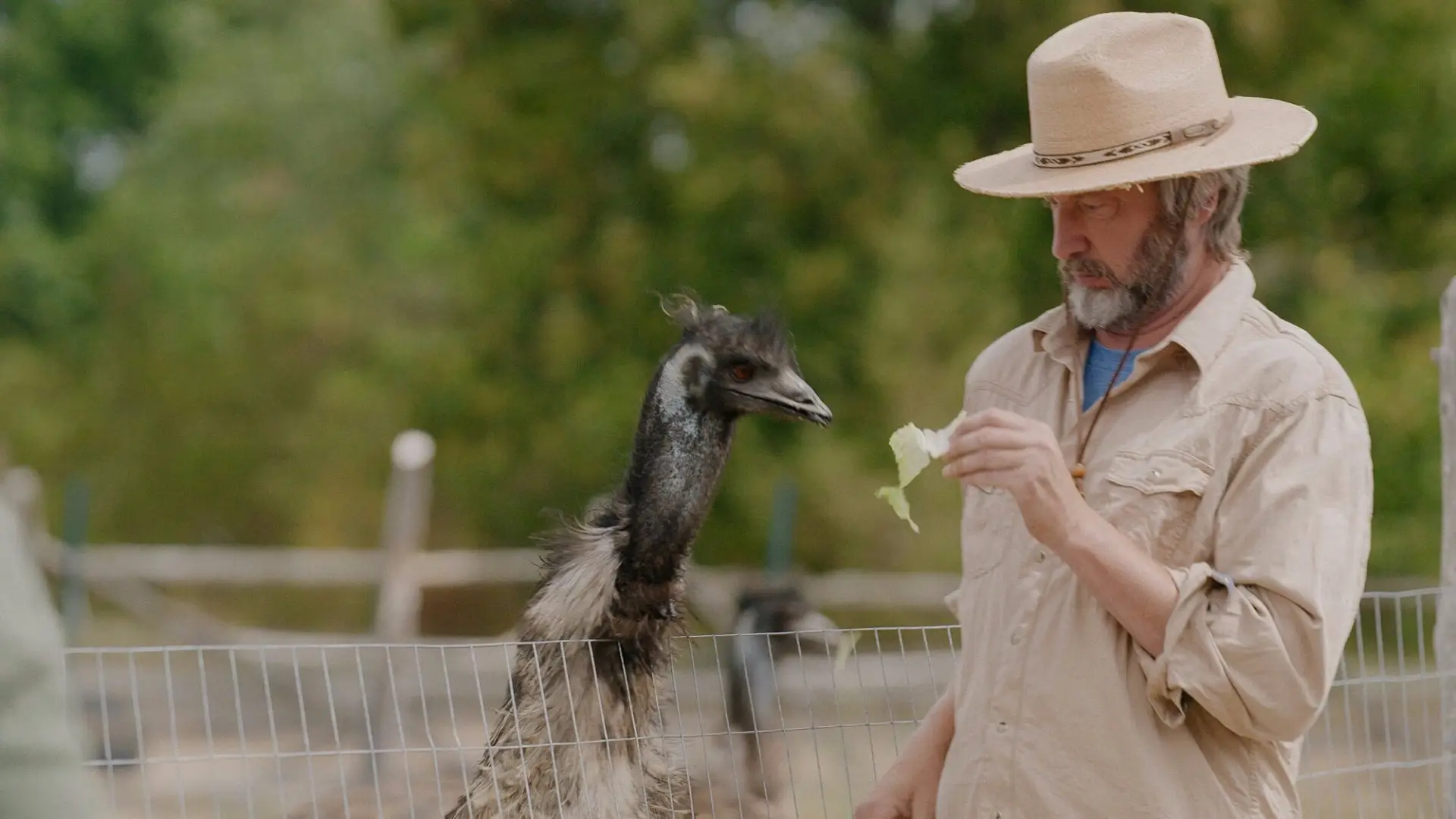 دانلود سریال The Tom Green Farm 2026