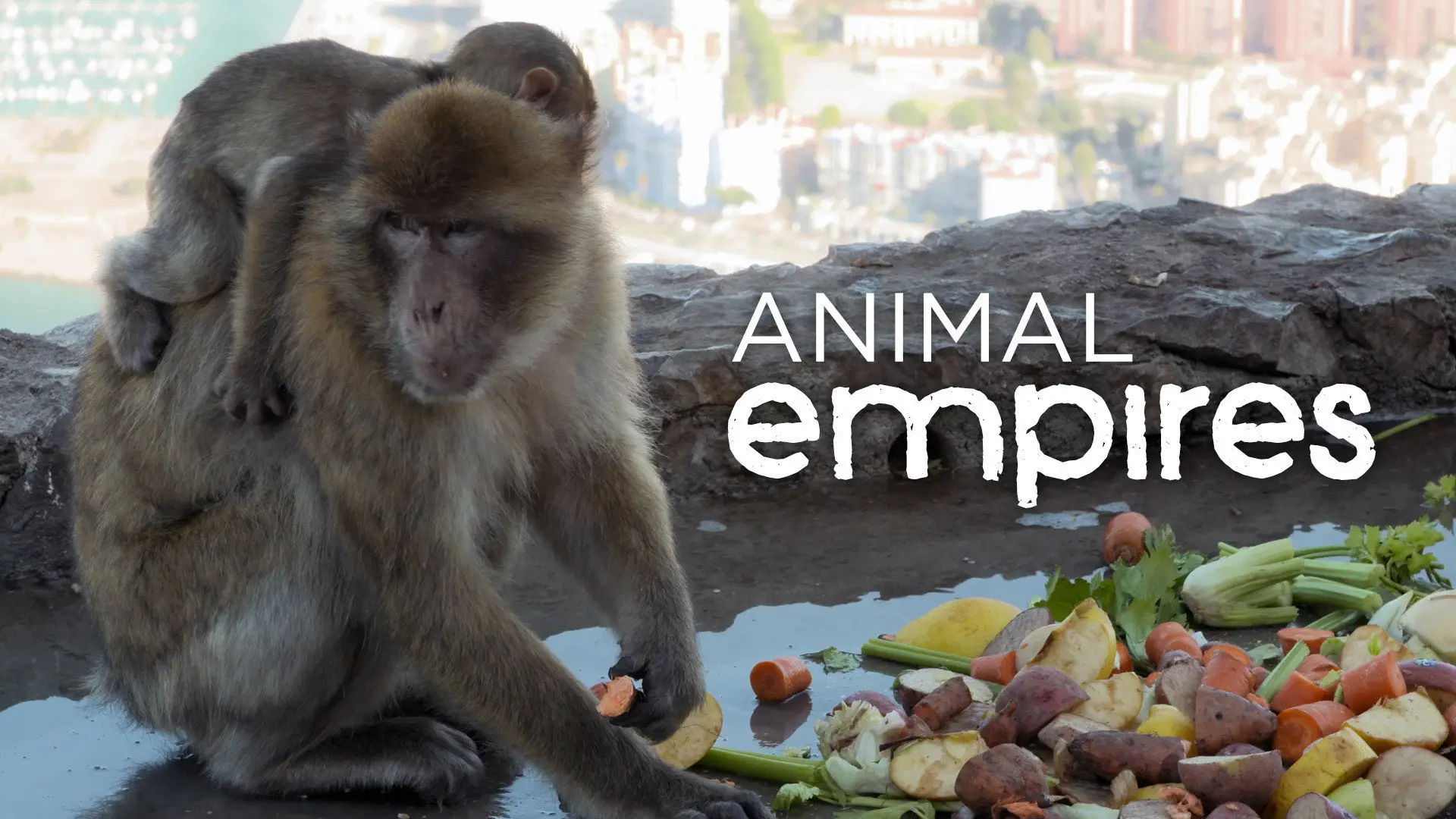 دانلود مستند Animal Empire 2016